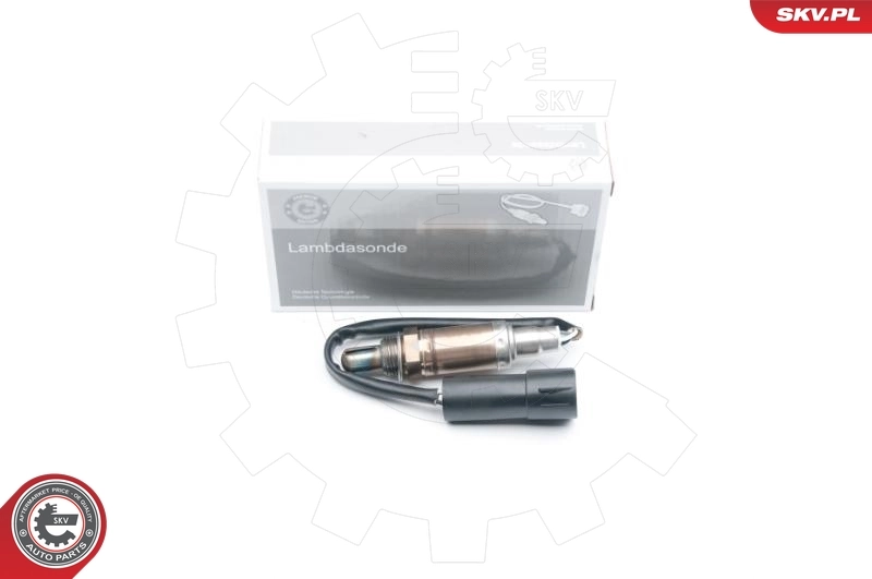 Oxygen Sensor